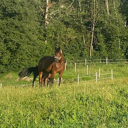 Apartamento Annahof *