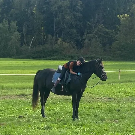 Apartamento Annahof *