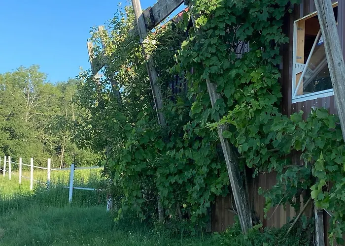 Annahof Διαμέρισμα