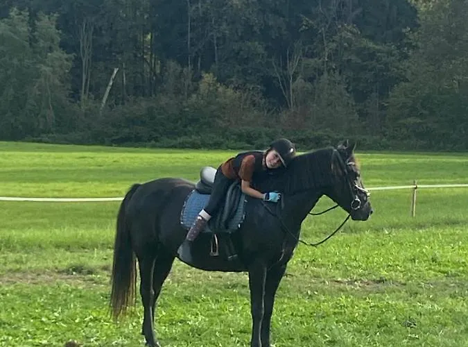 Διαμέρισμα Annahof *