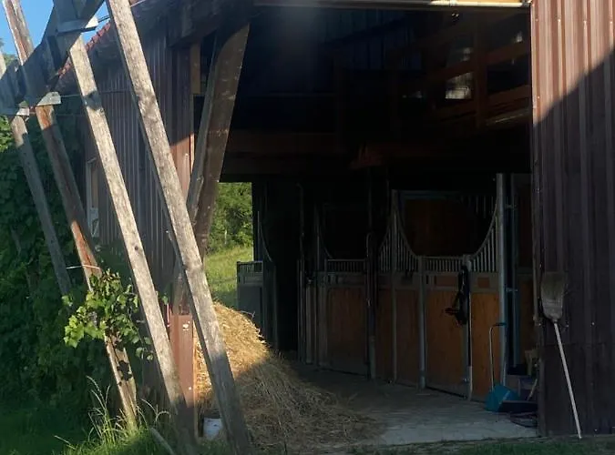 Διαμέρισμα Annahof Argenbuhl